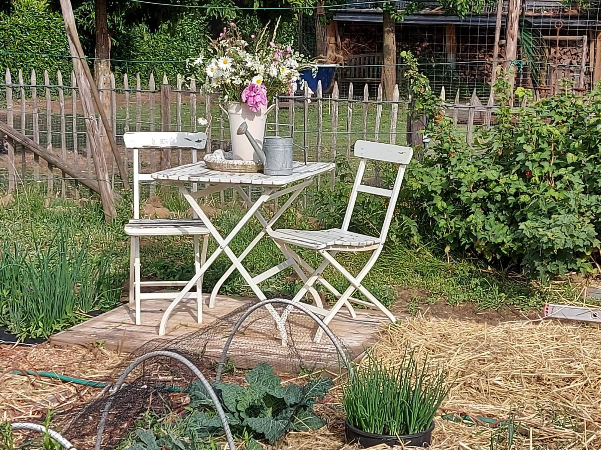 Bed and Breakfast Widdingenhof Wellen Zewnętrze zdjęcie